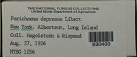 Image Associated With the Occurence